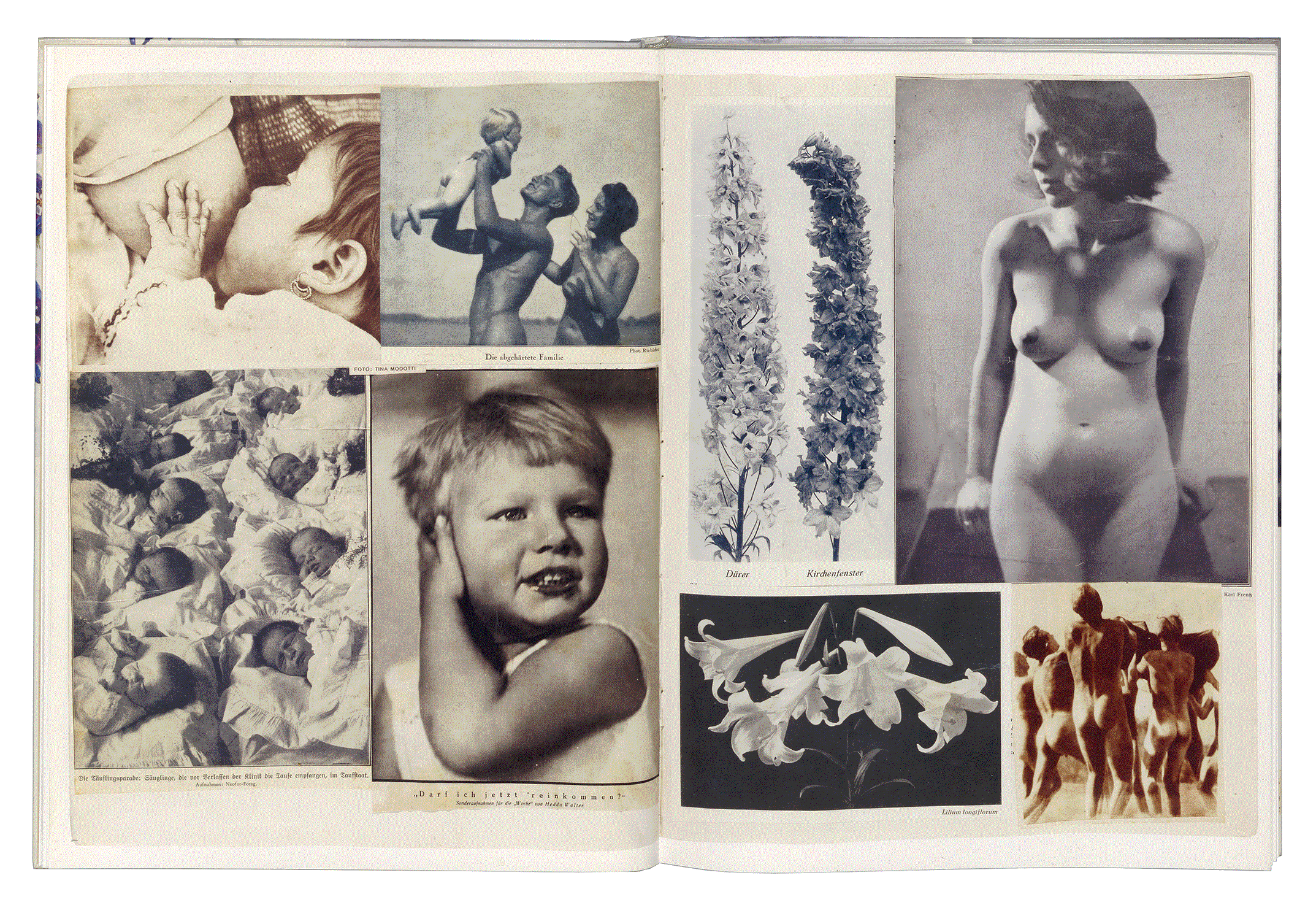 ALBUM HANNAH HÖCH. Gunda Luyken. Hantje Cantz Verlag. Ostfildern-Ruit 2004.