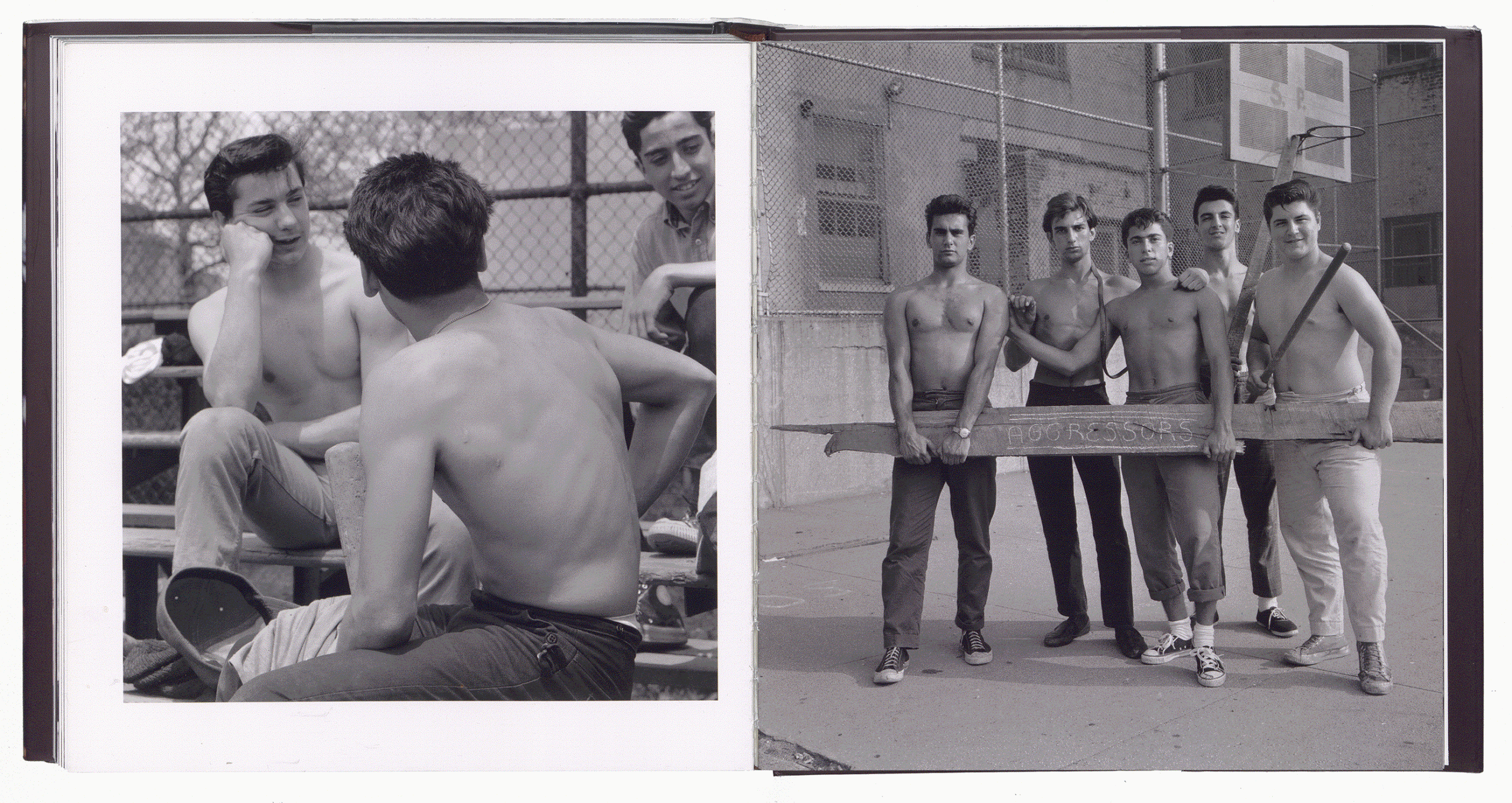 BROOKLYN BOYS. Danny Fitzgerald and Les Demi Dieux. Edited by Robert Loncar and James Kempster. Bruno Gmünder. Berlin 2013.