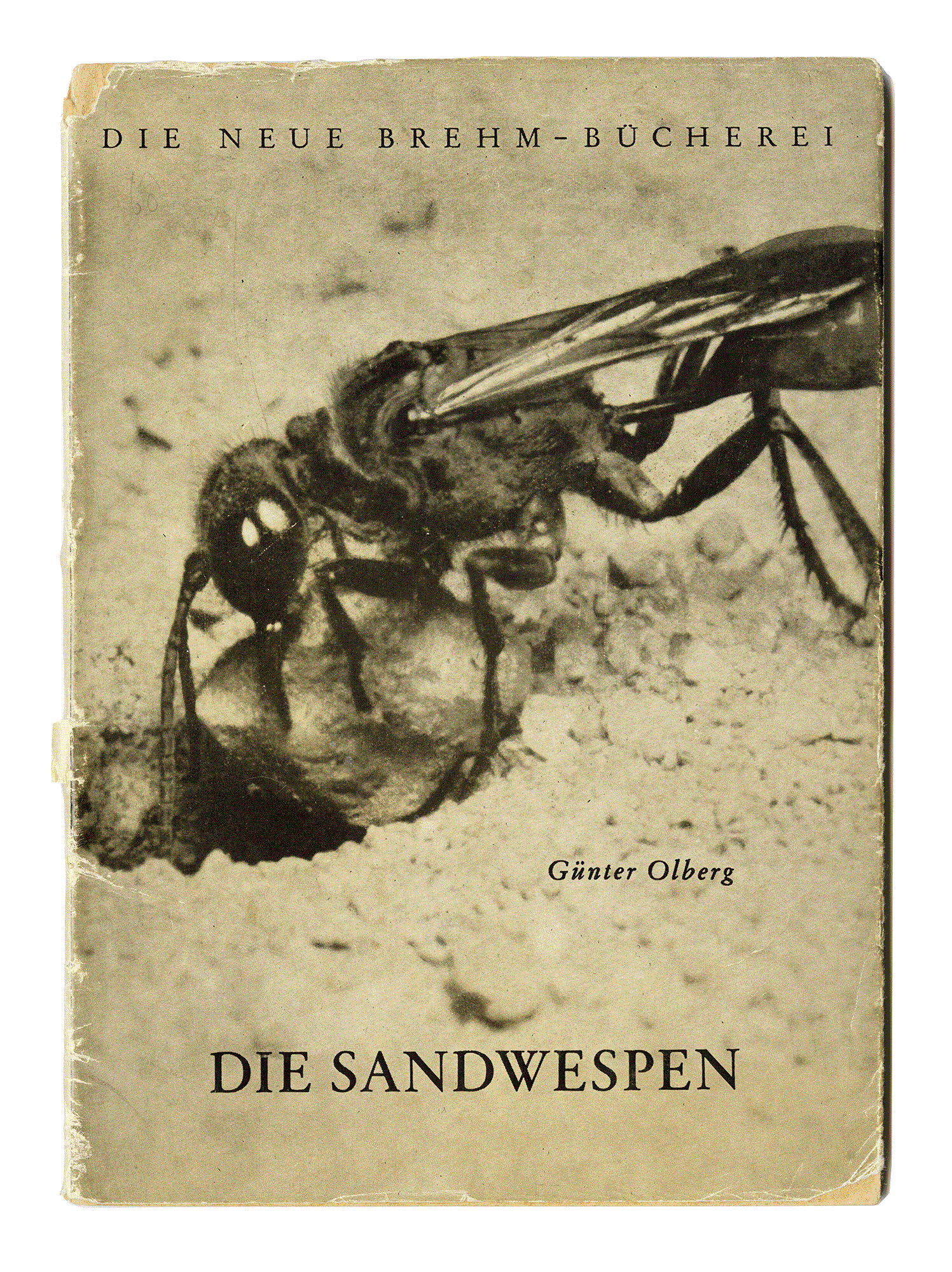 DIE SANDWESPEN (AMMOPHILIA UND PODALONIA). Günter Olberg. Die Neue Brehm–Bücherei. Akademische Verlagsgesellschaft Geest & Portig K. G. Leipzig 1952