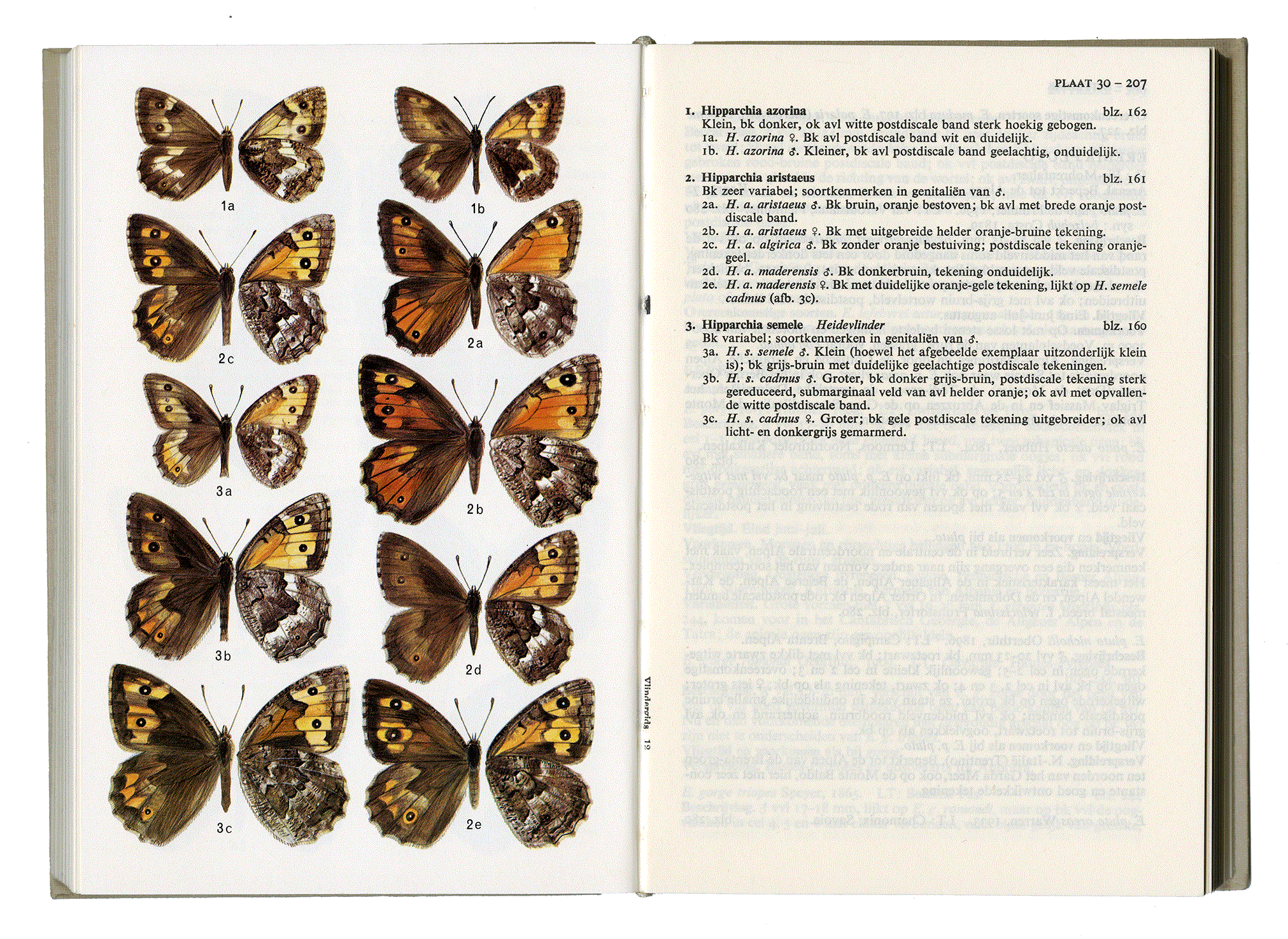 ELSEVIERS VLINDERGIDS: VOOR ALLE EUROPESE DAGVLINDERS. L. G. Higgins, N. D. Riley. Elsevier N. V. Amsterdam / Brussels 1971.