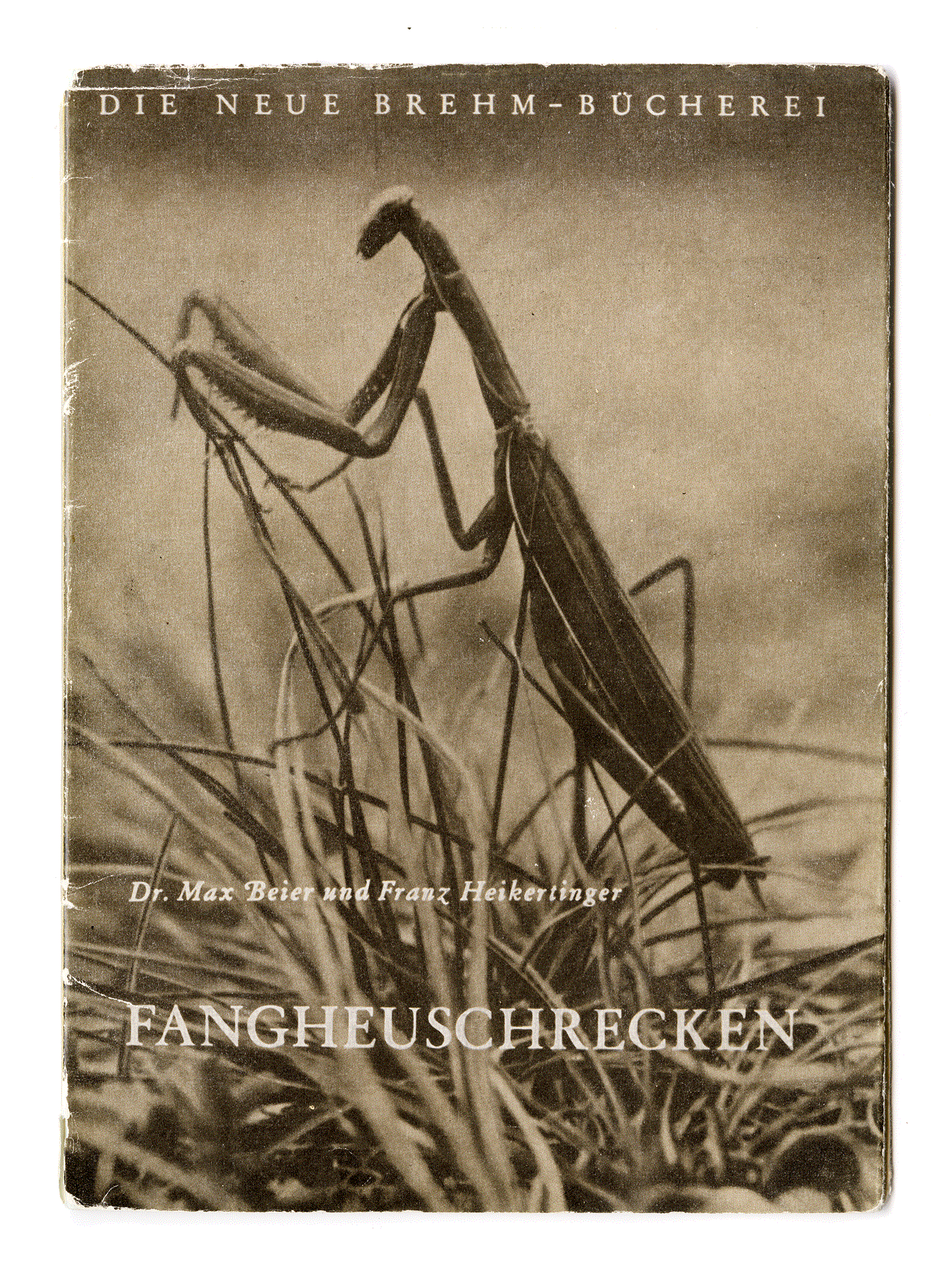 FANGHEUSCHRECKEN. Dr. Max Beier, Franz Heikertinger. Die Neue Brehm–Bücherei. Akademische Verlagsgesellschaft Geest & Portig K. G. Leipzig 1952.