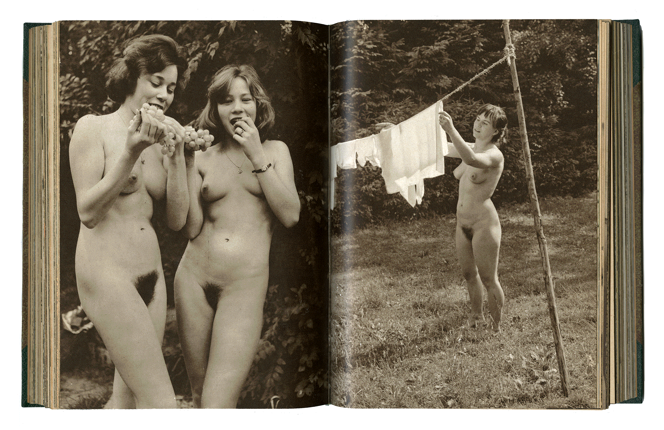 HELIOS Nr. 126. Unabhängige Monatsschrift für naturnahe Lebenskultur. Rudolf Zitzmann, Adolf Koch. Rudolf Zitzmann Verlag. Nürnberg 1961.