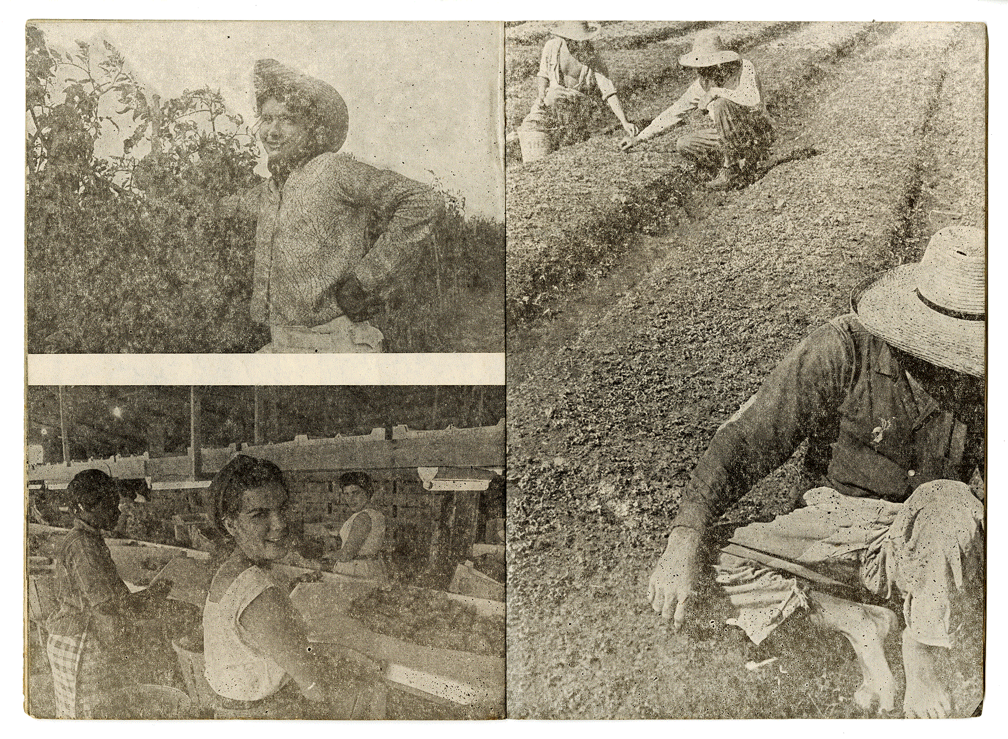 LA REFORMA AGRARIA EN EL 26 DE JULIO #2. Lisandro Otero, Korda, Raúl Corrales, Tony Evora. Ediciones R. Havana 1960.