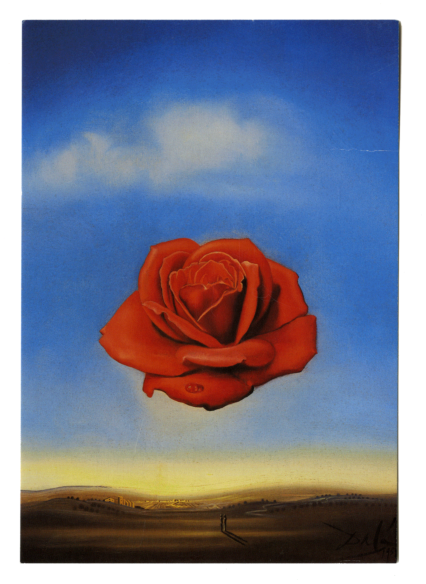 ROSA MEDITATIVA. Salvador Dalí. Figueres 1958.